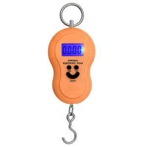 Portable 50kg/5g Mini Hanging Electronic Scale LCD Digital Night Vision Fishing Hook Luggage Scale Wight Balance - Global Cart Pro